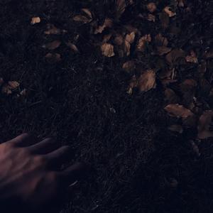 啊！主人~好大~小狗的穴被撑满了~
